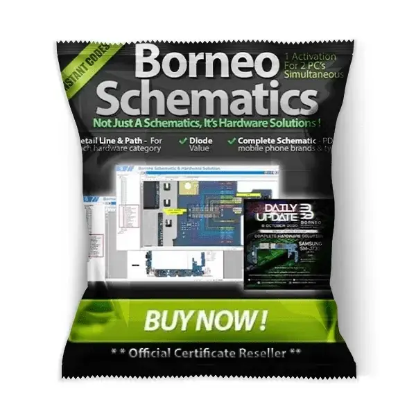 Borneo Schematic Activation - 1 Year 2 User